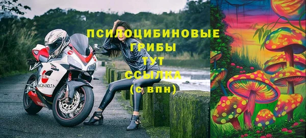 мет Алзамай