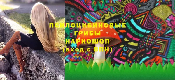 хмурый Алексеевка